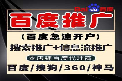 SEM代运营机构案例分析：优化策略与执行